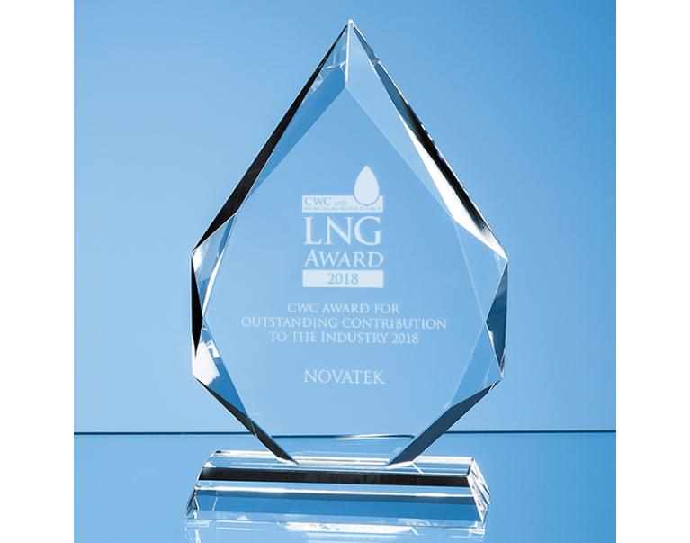 2018 CWC World LNG Award for Outstanding Contribution